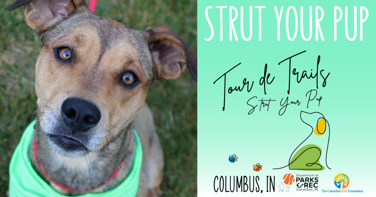 Tour de Trails Strut Your Pup